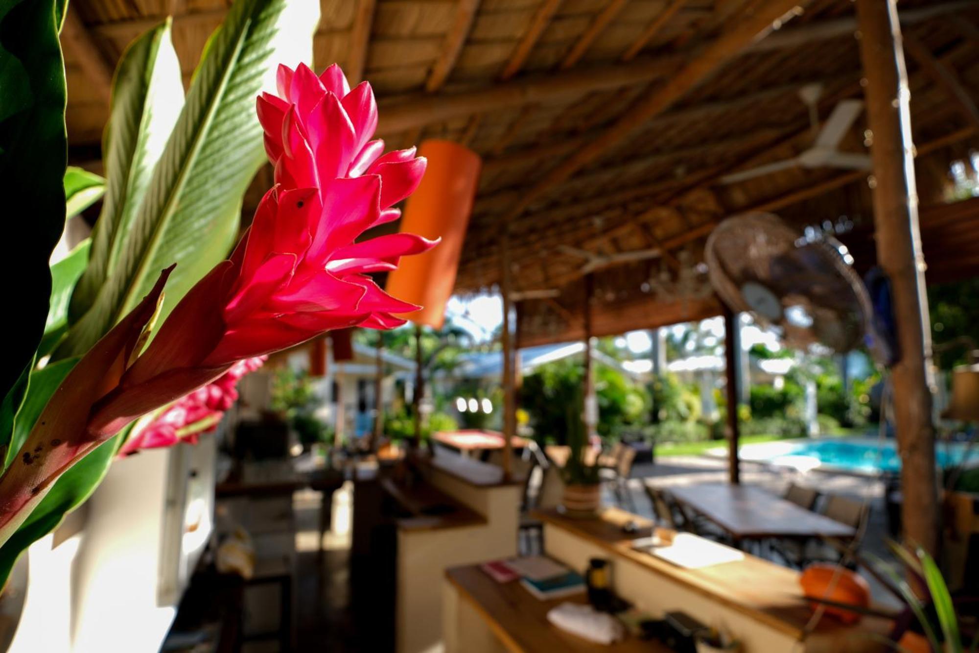 Hotel Enjoy Las Terrenas Eksteriør bilde