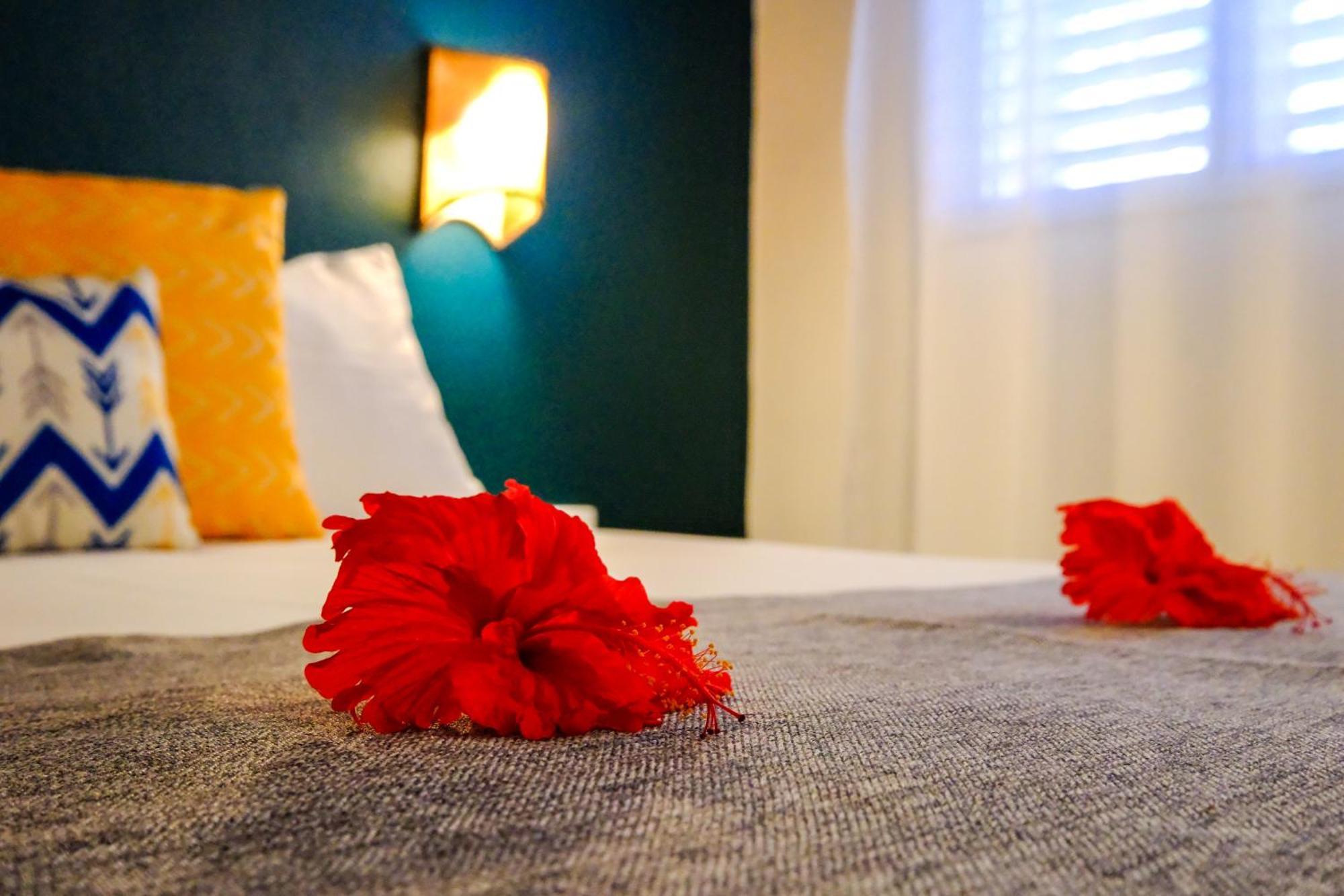 Hotel Enjoy Las Terrenas Rom bilde